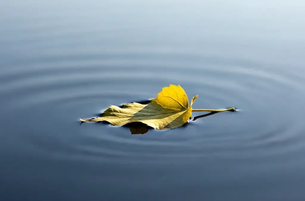 Da dove iniziare con Ho'oponopono senza aspettative.