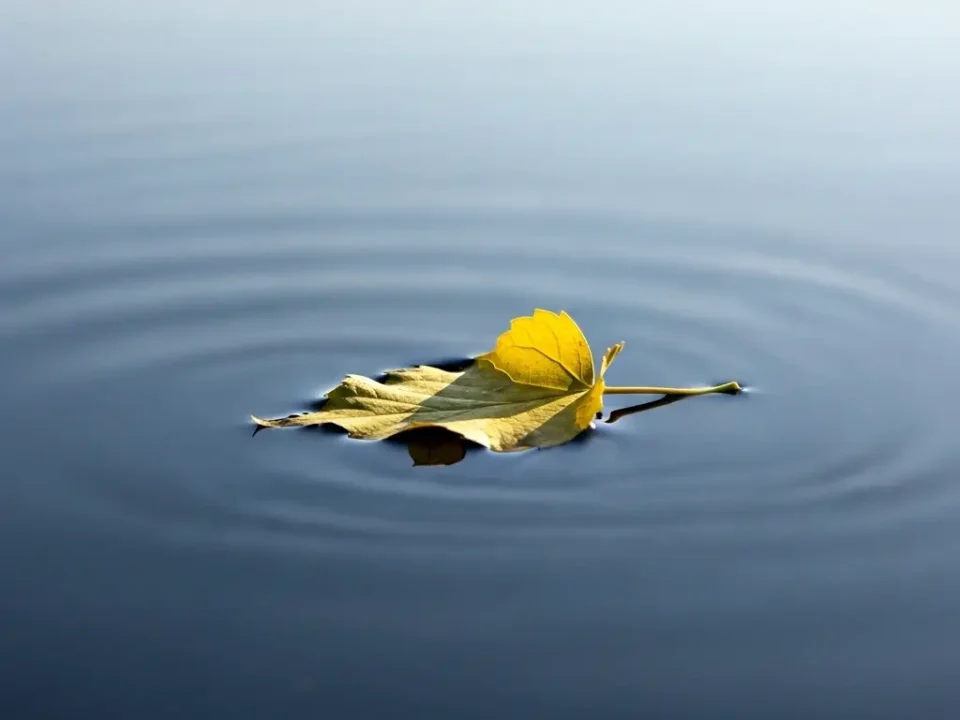 Da dove iniziare con Ho'oponopono senza aspettative.