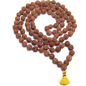 Mala 108 grani in Rudraksha